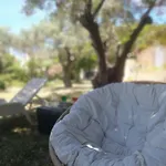 Les Oliviers Σπίτι διακοπών *